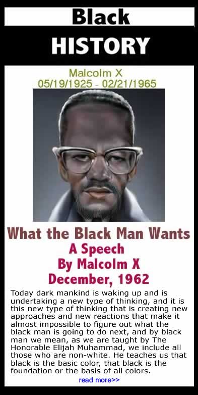 Black History Month - What the Black Man Wants - A Speech By Malcolm X 5/19/1925 - 2/21/1965
