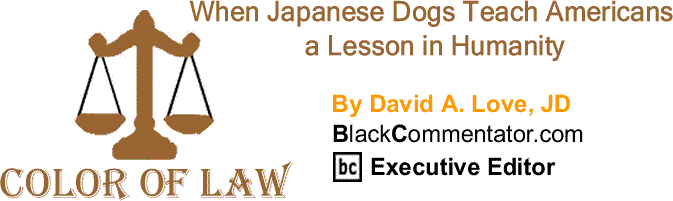 BlackCommentator.com: When Japanese Dogs Teach Americans a Lesson in Humanity - The Color of Law By David A. Love, JD, BlackCommentator.com Executive Editor