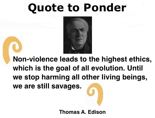 BlackCommentator.com: Quote to Ponder:  "Non-violence leads to the highest ethics…" - Thomas A. Edison
